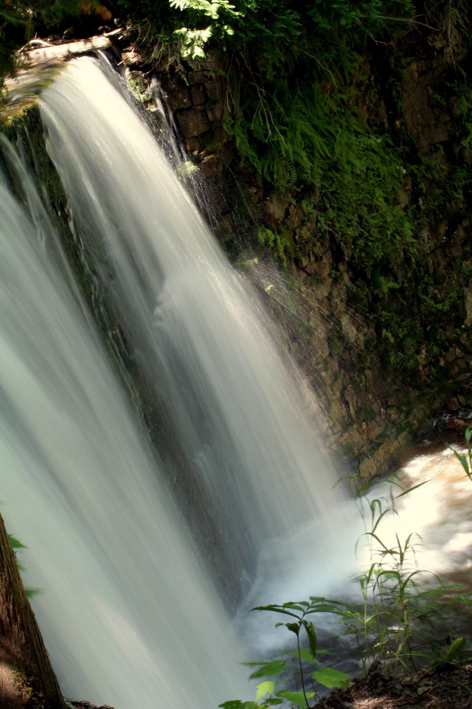 Hoggs Falls waterfall