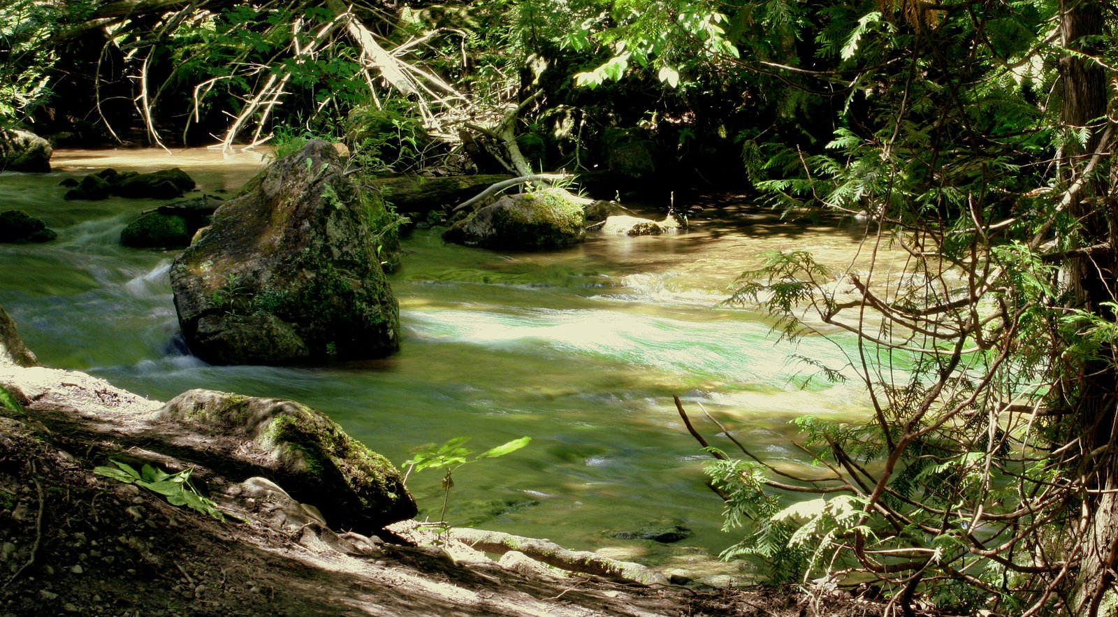 Hoggs Falls waterfall