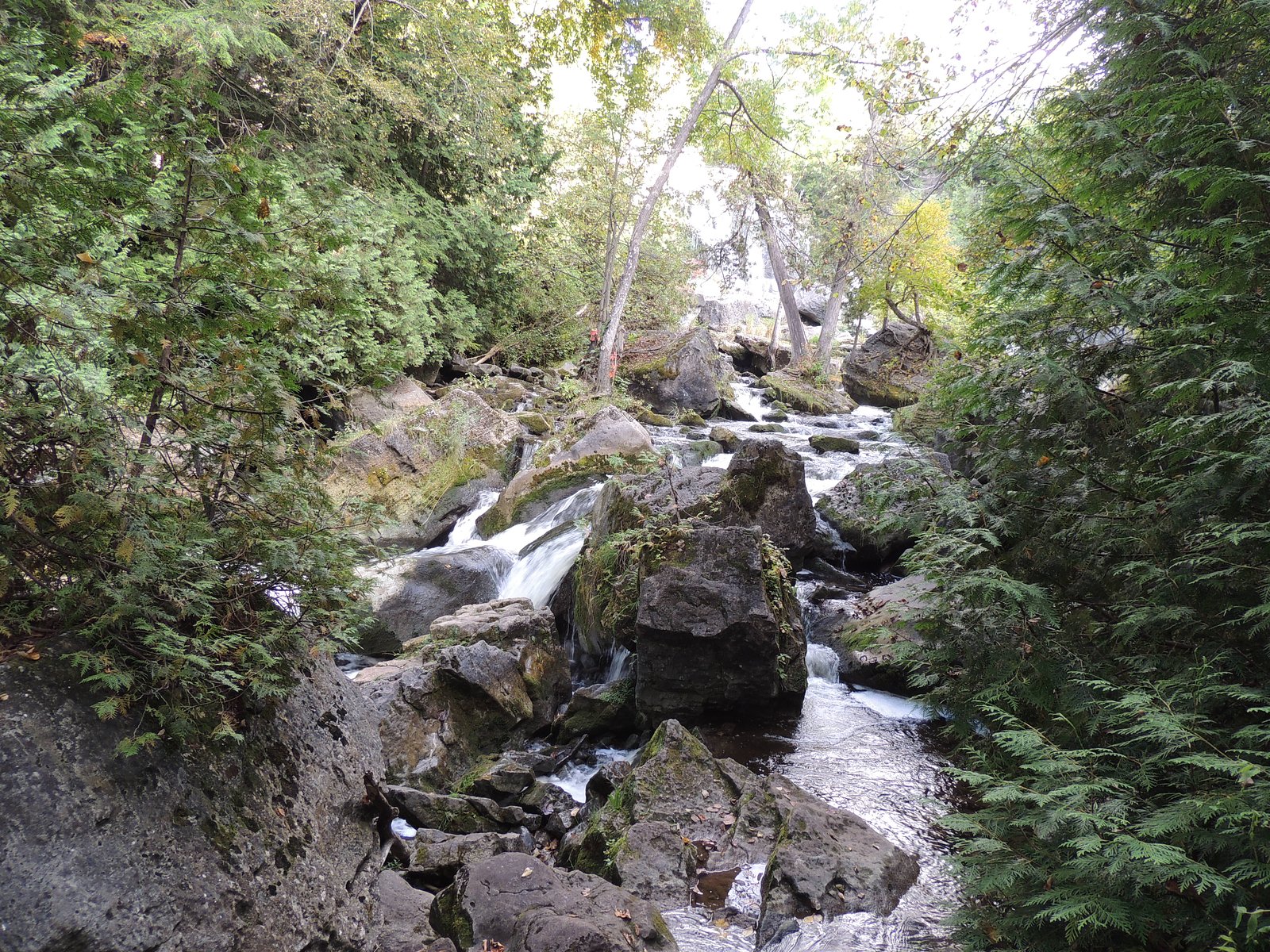 Weaver Creek Falls waterfall
