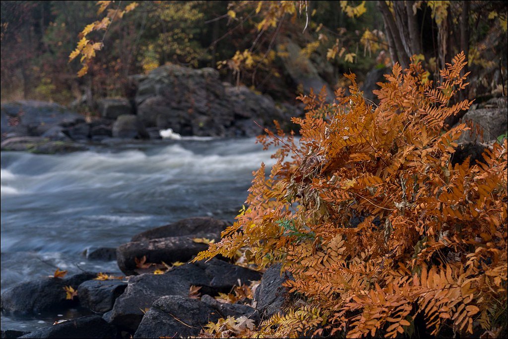 Blakeney Rapids waterfall