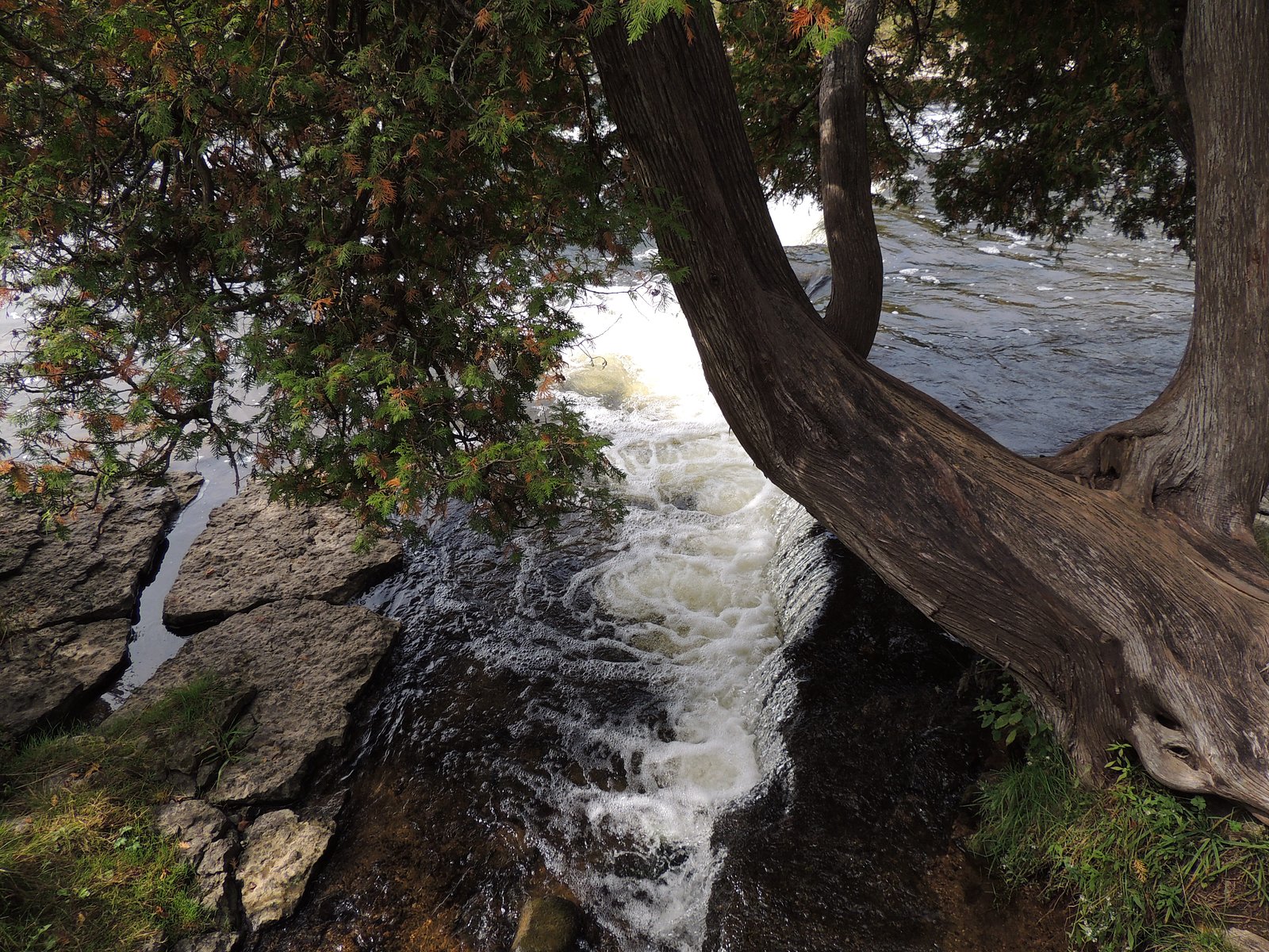 Sauble Falls waterfall