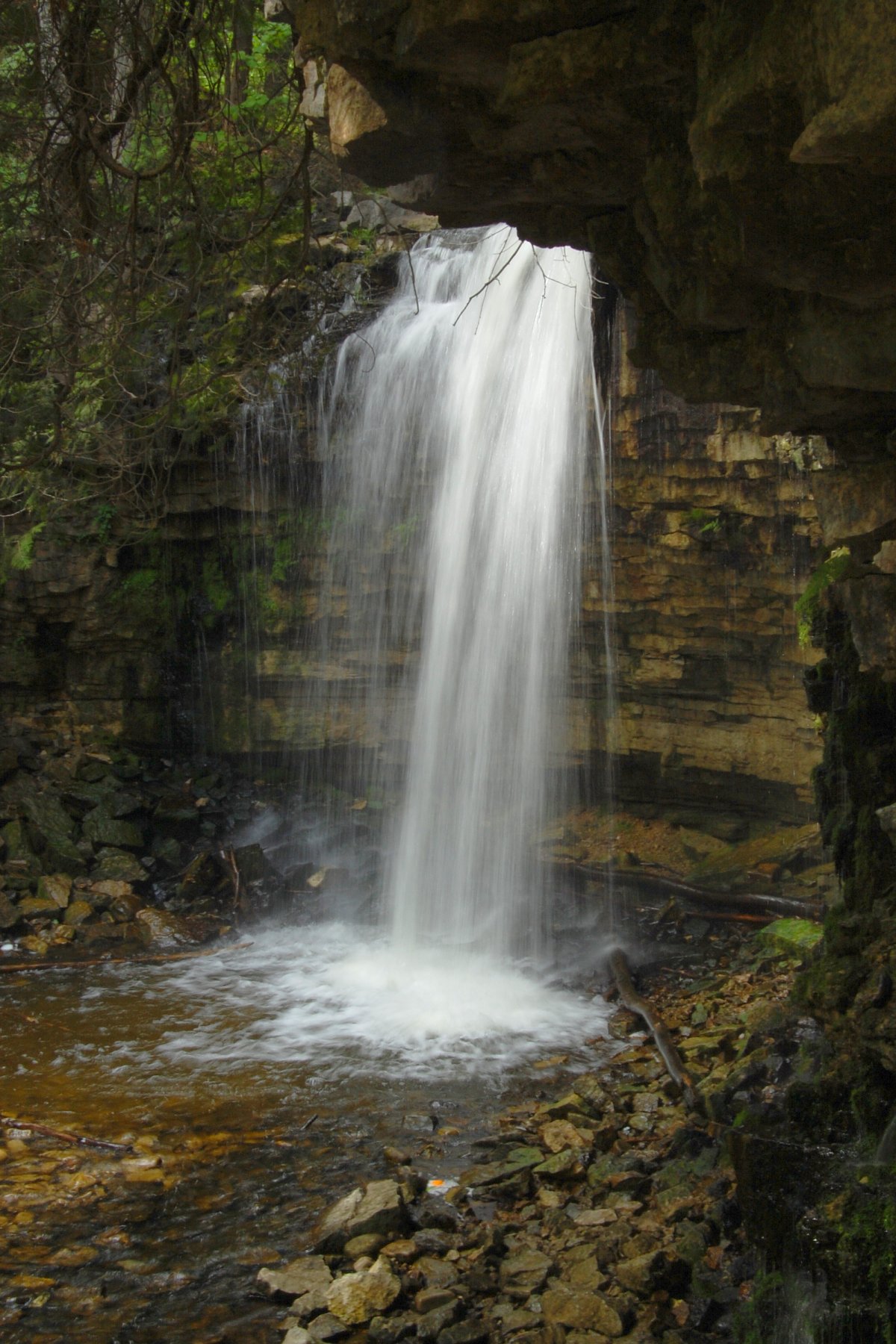 Hilton Falls waterfall