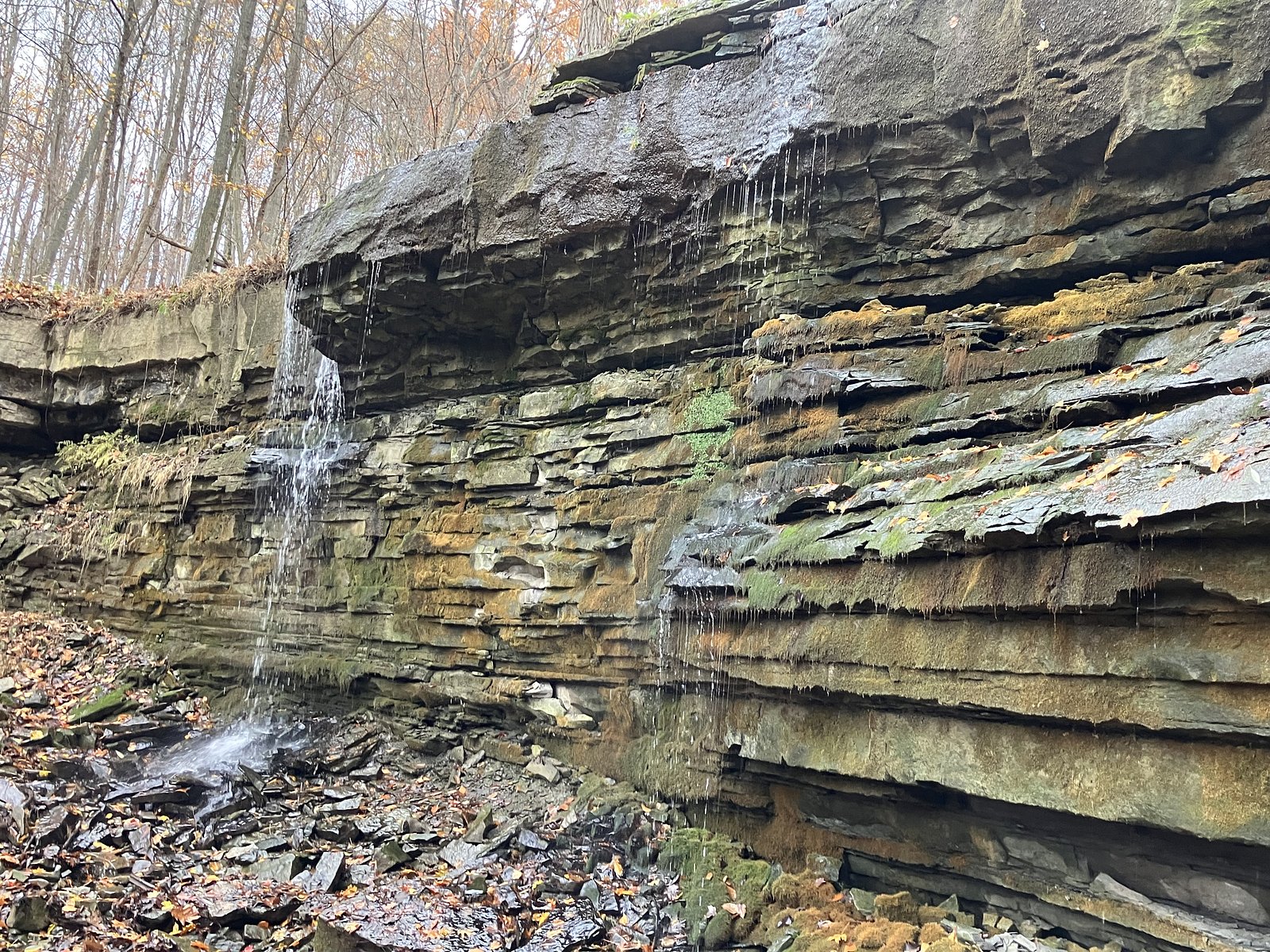 Terrace Falls waterfall