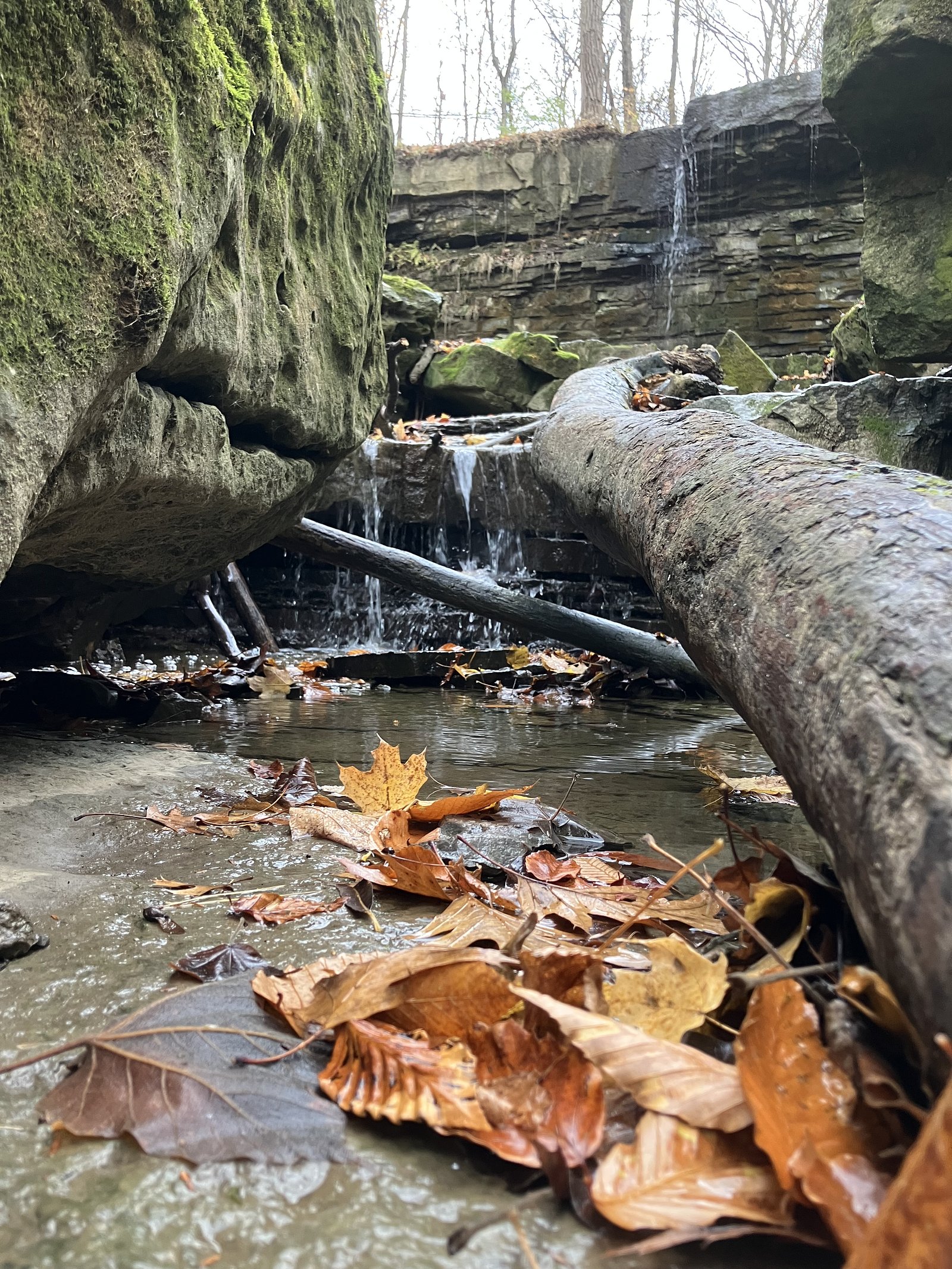 Terrace Falls, Short Hills Provincial Park
