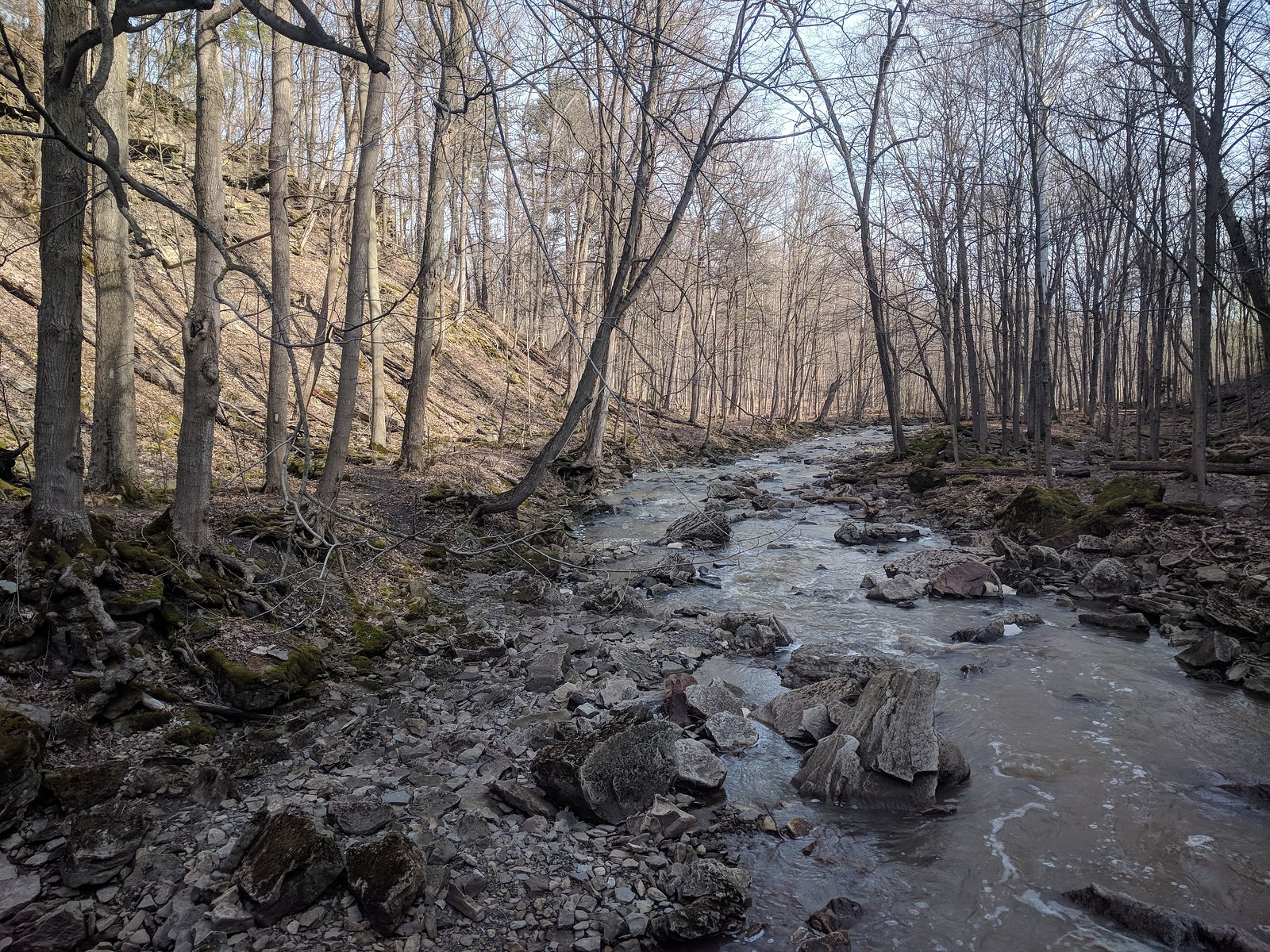 Lower Rockway Falls, Rockway Conservation Area