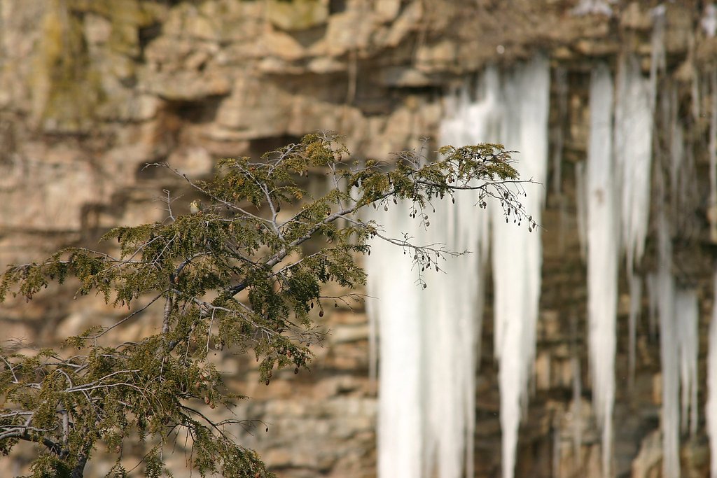 Red Squirrel Falls waterfall