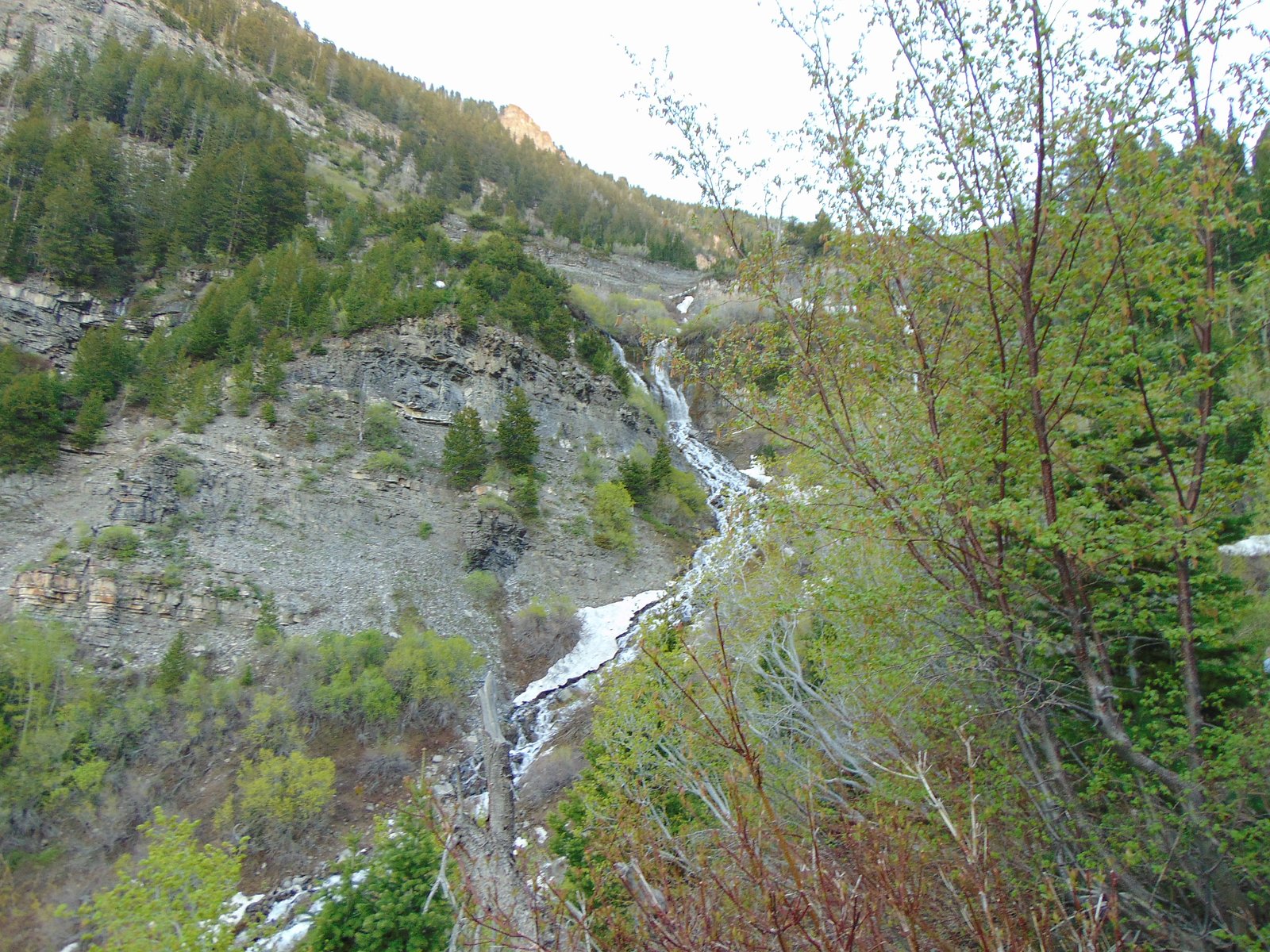 Scout Falls, Short Hills Provincial Park