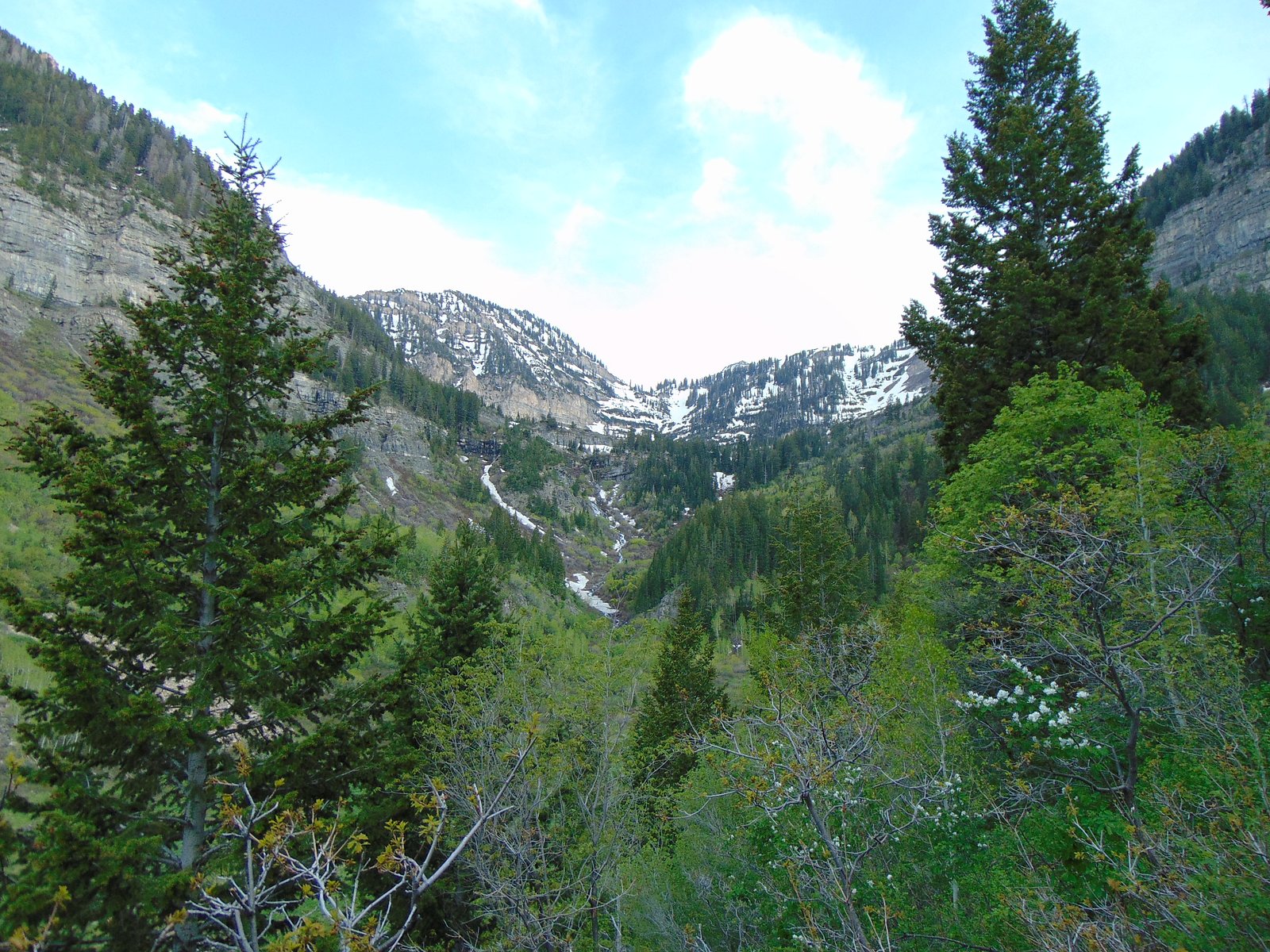 Scout Falls, Short Hills Provincial Park