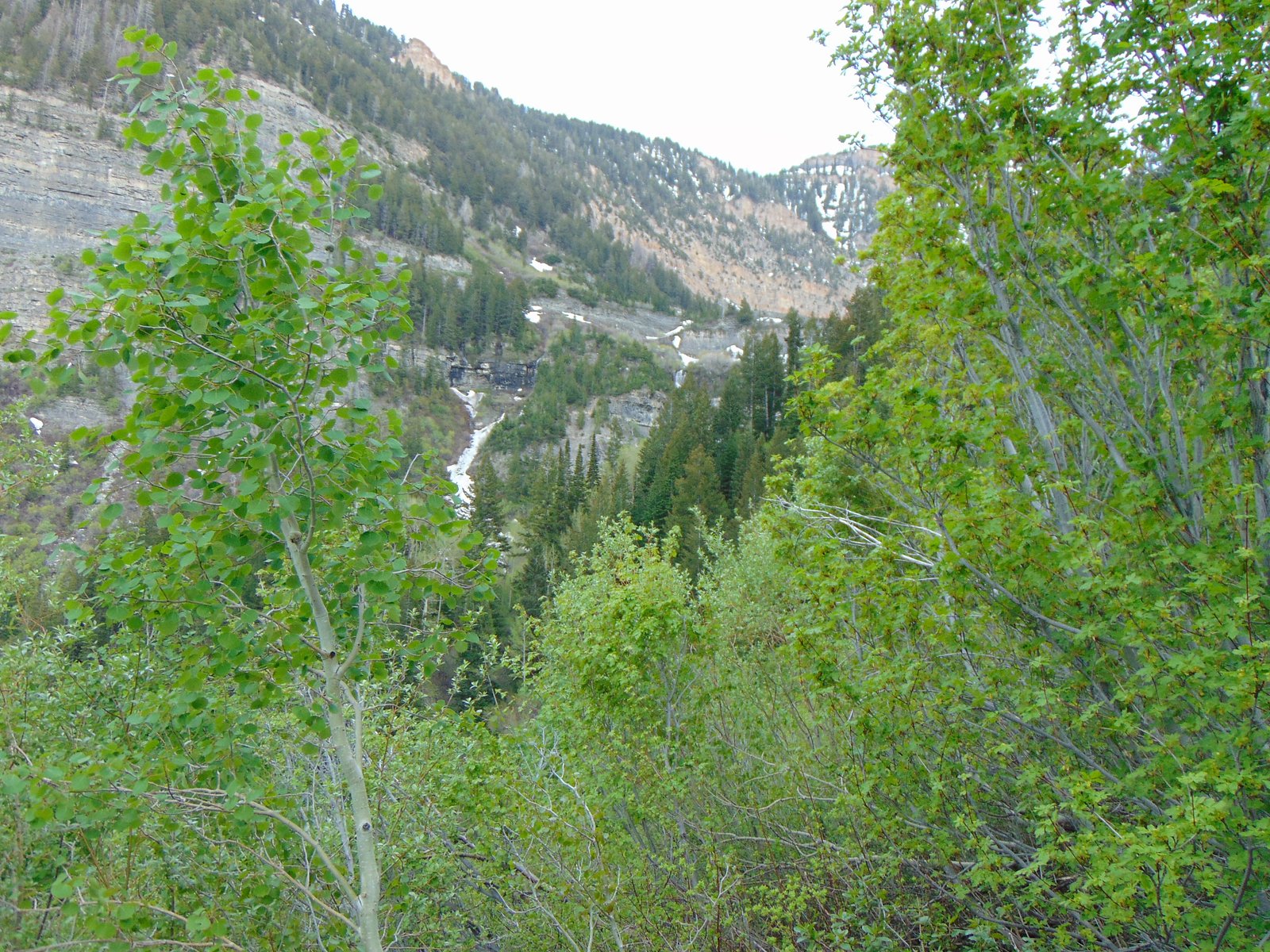 Scout Falls, Short Hills Provincial Park