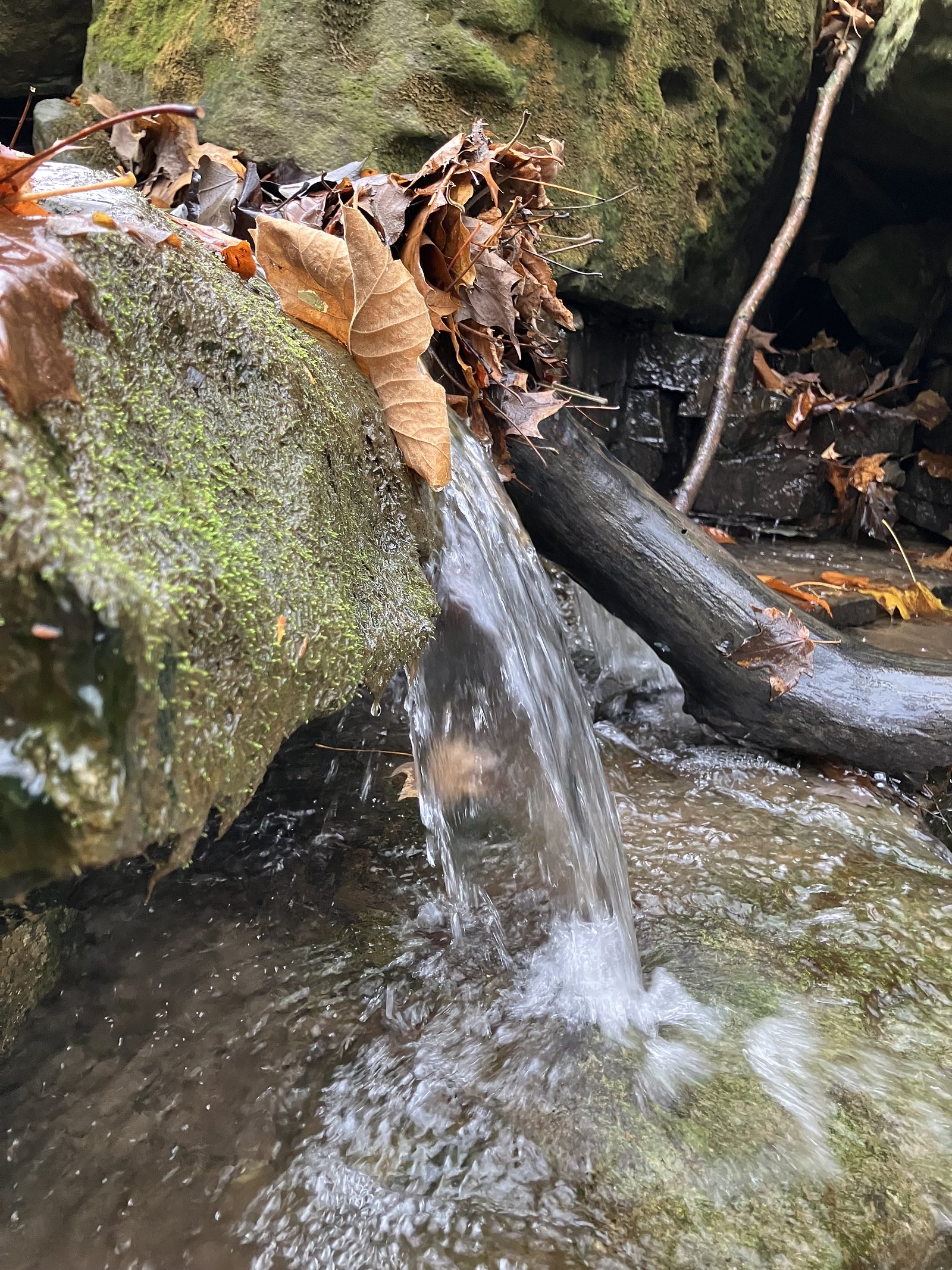 North Eller Falls waterfall