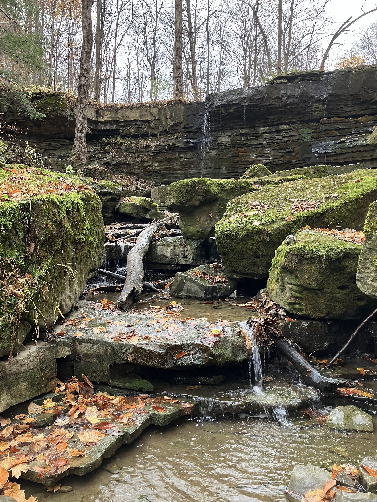 Lower Scout Falls waterfall