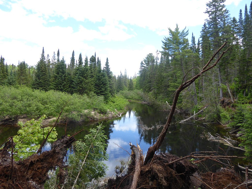 Tea Falls, Algonquin Provincial Park