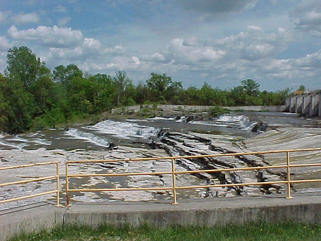 Healey Falls waterfall