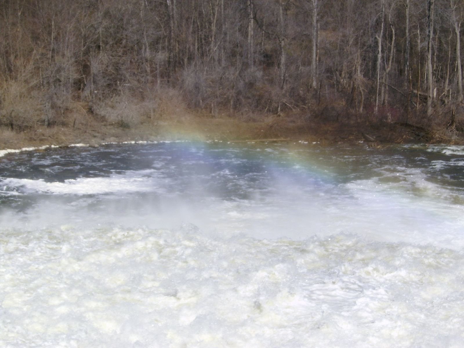 Healey Falls waterfall