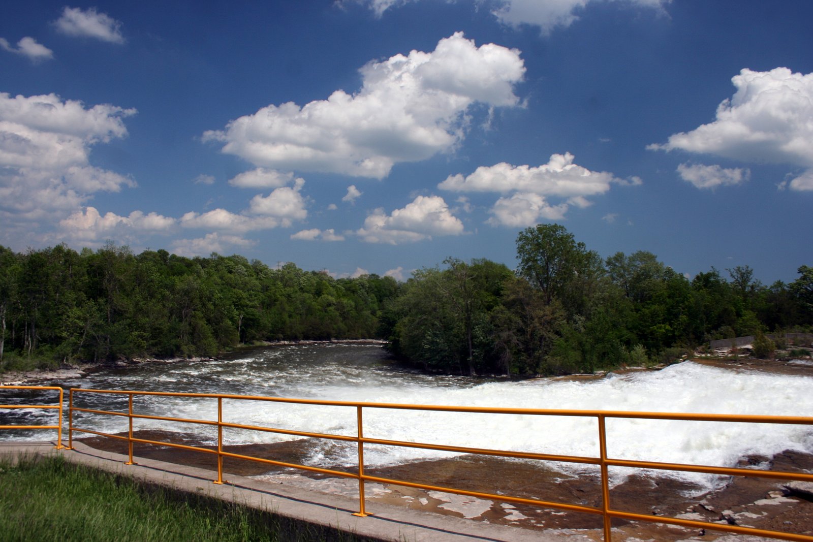 Healey Falls waterfall