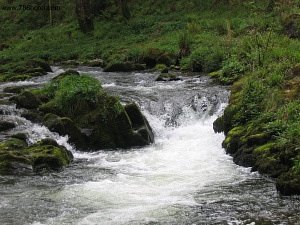 Rapids waterfall