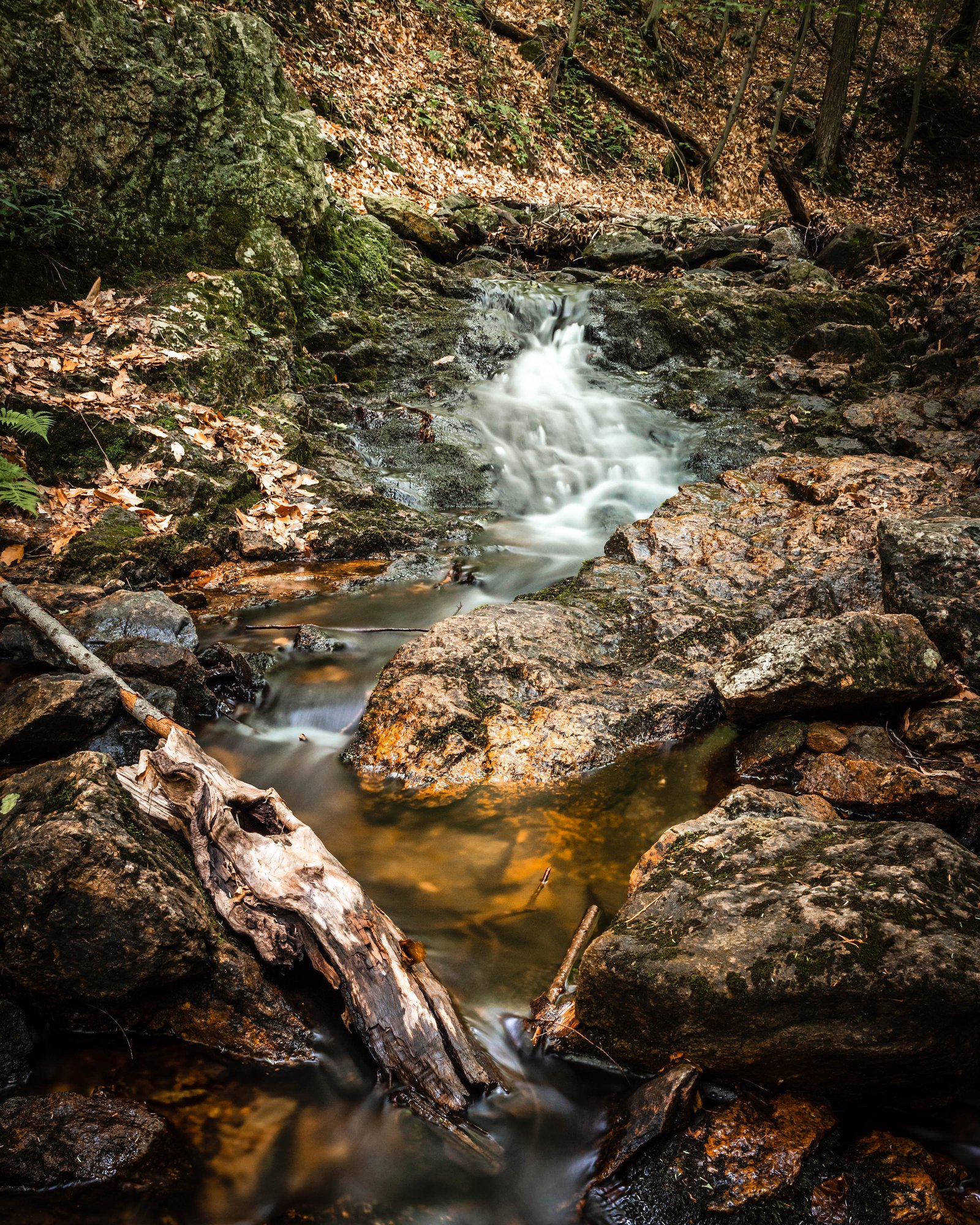 Chute du Voile-de-la-Mariée, Gatineau Park