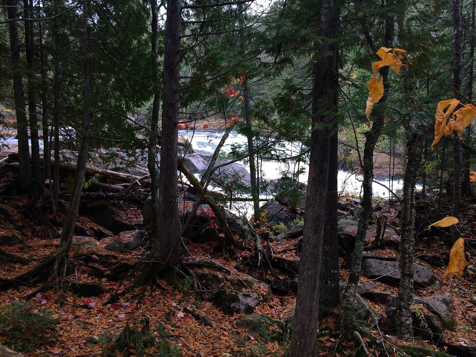 Chutes Croches, Mont-Tremblant National Park