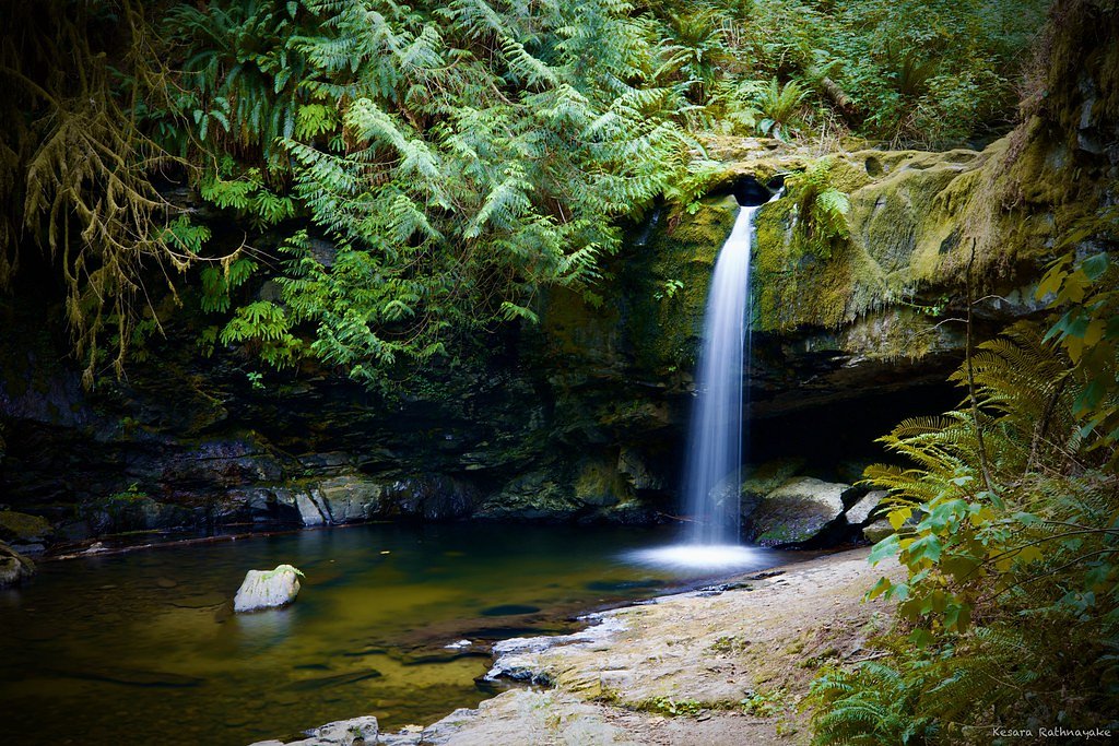 Stocking Creek Falls waterfall