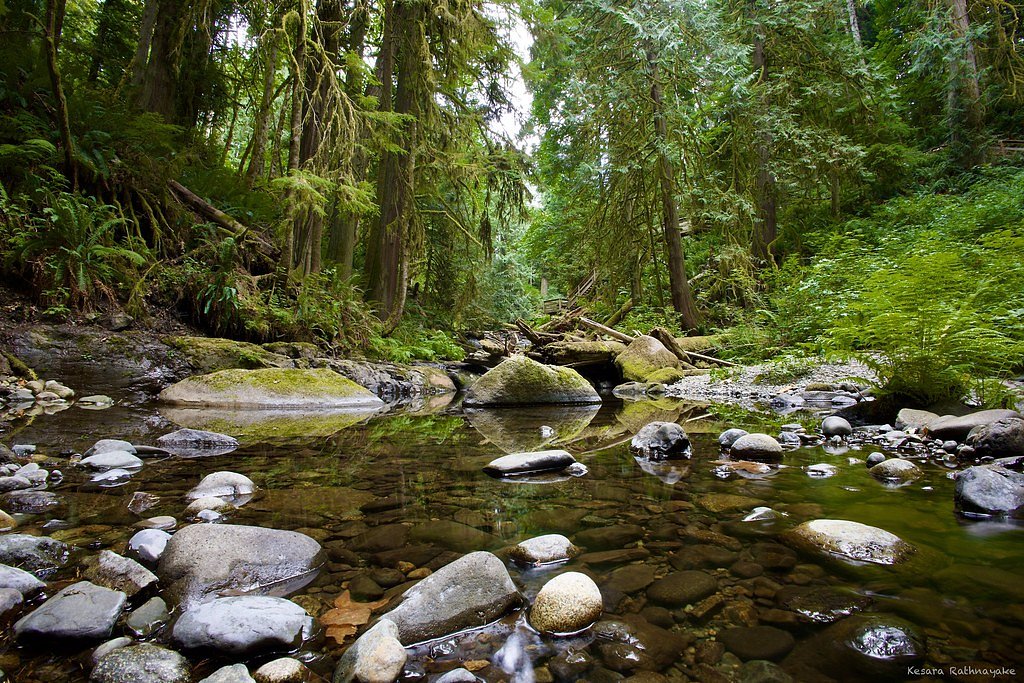Stocking Creek Falls waterfall