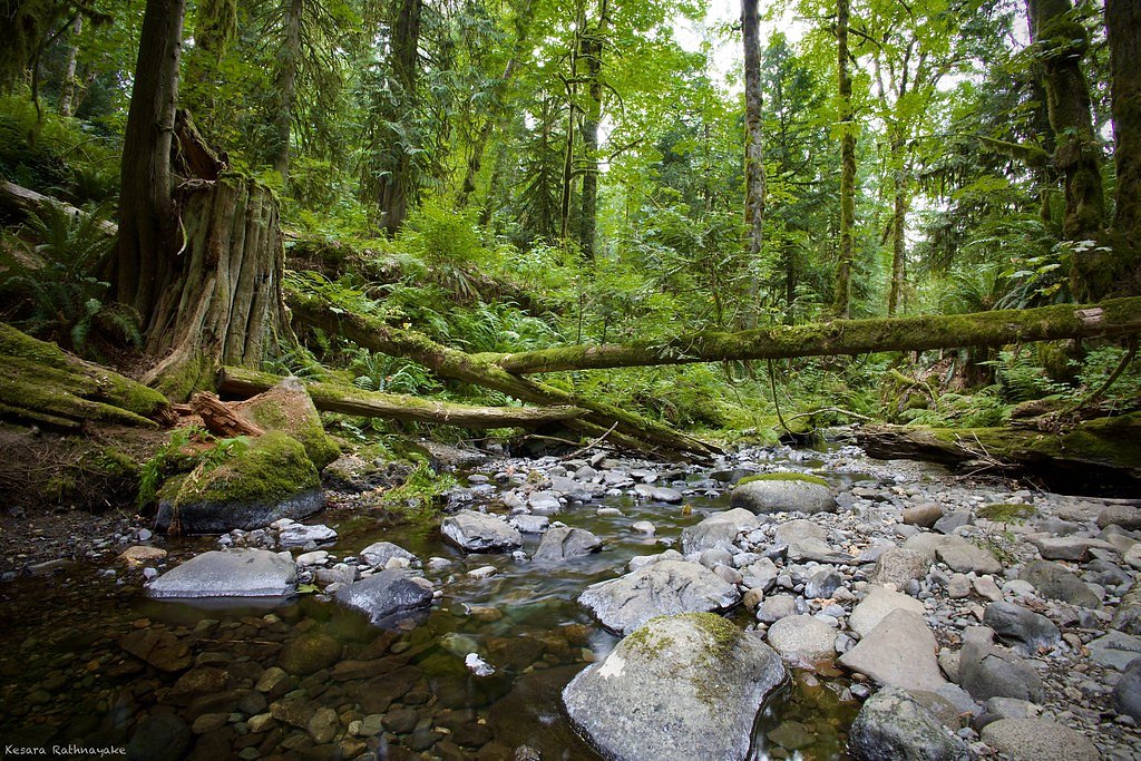 Stocking Creek Falls waterfall