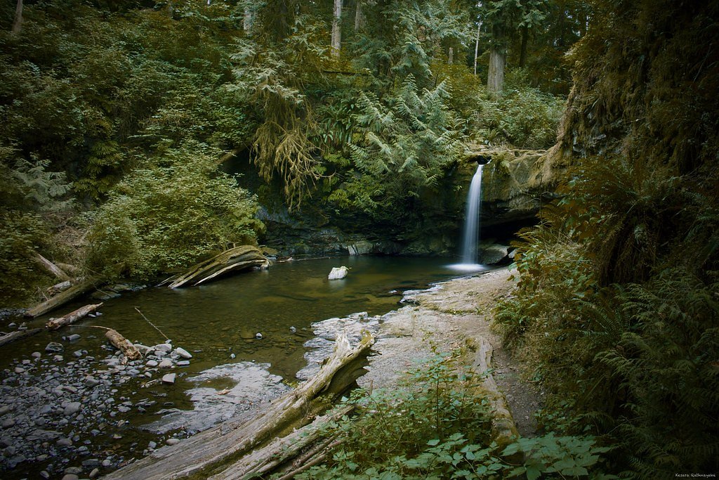 Stocking Creek Falls waterfall