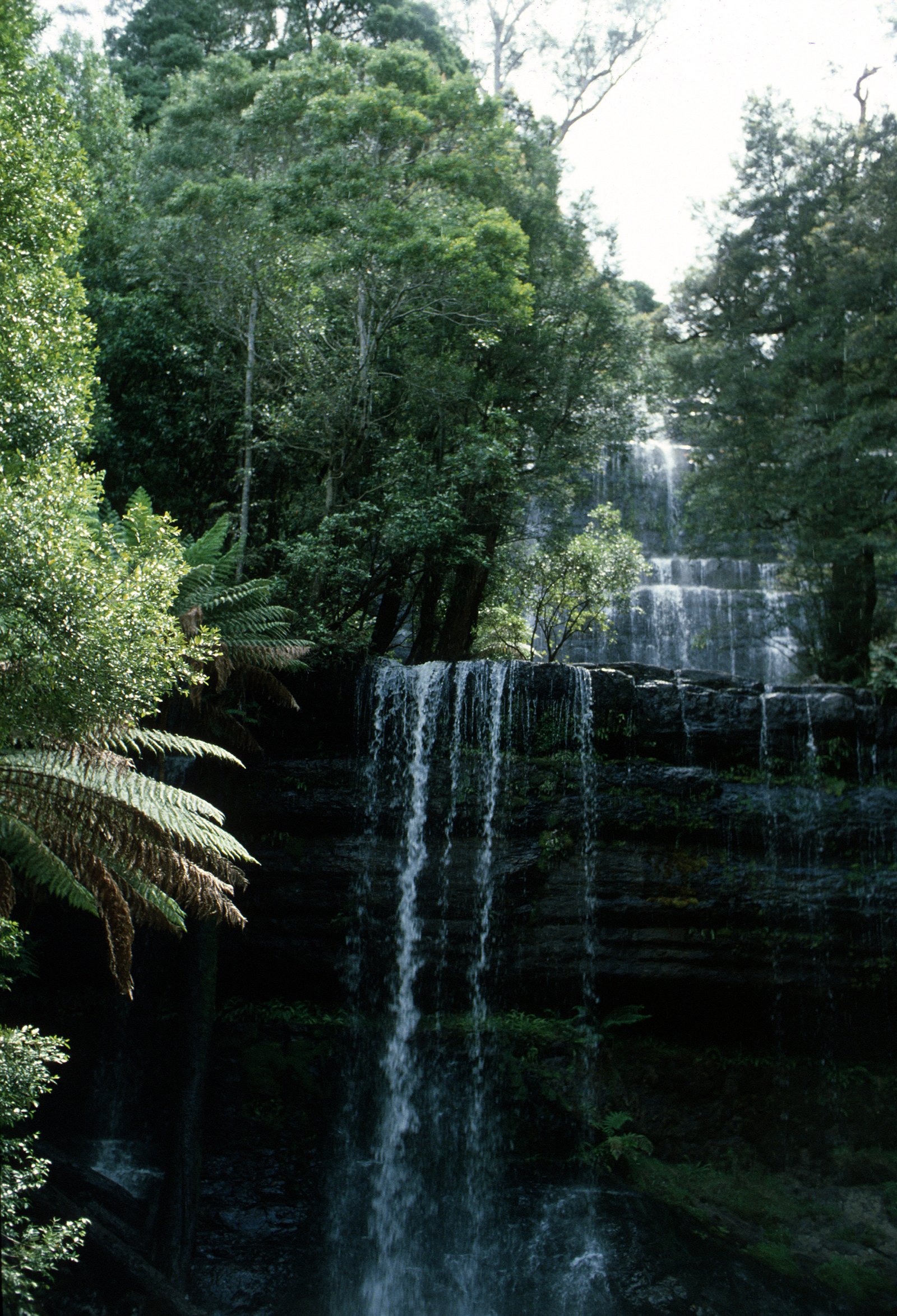 Russell Falls waterfall