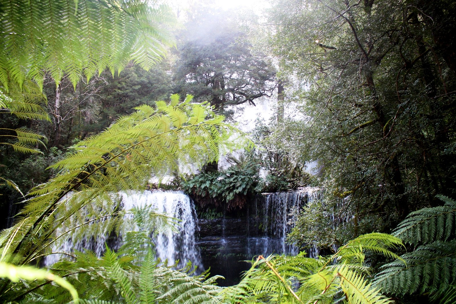 Russell Falls waterfall