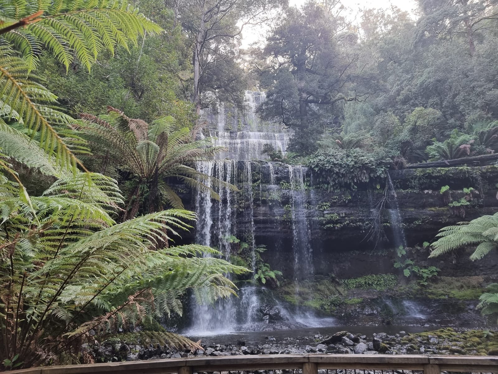 Russell Falls waterfall
