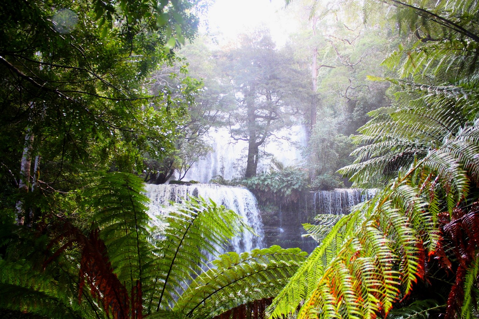 Russell Falls waterfall