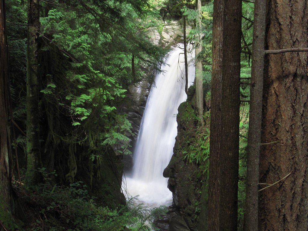 Woodland Falls waterfall