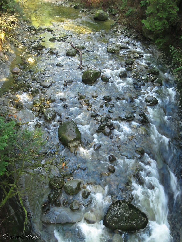 Cliff Falls, Kanaka Creek Regional Park