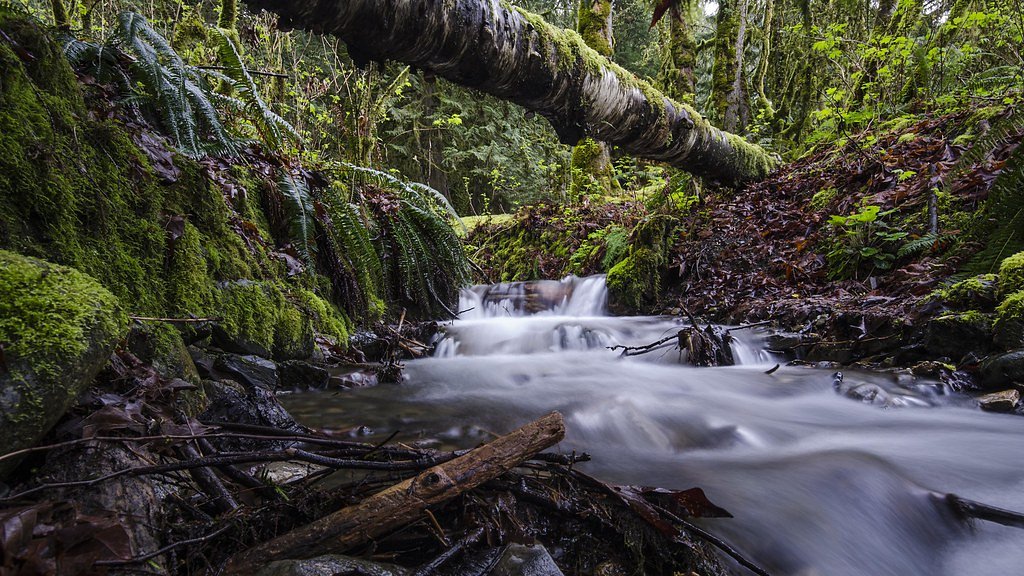 Bridal Veil Falls waterfall