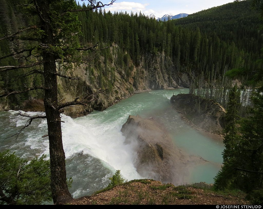Wapta Falls waterfall