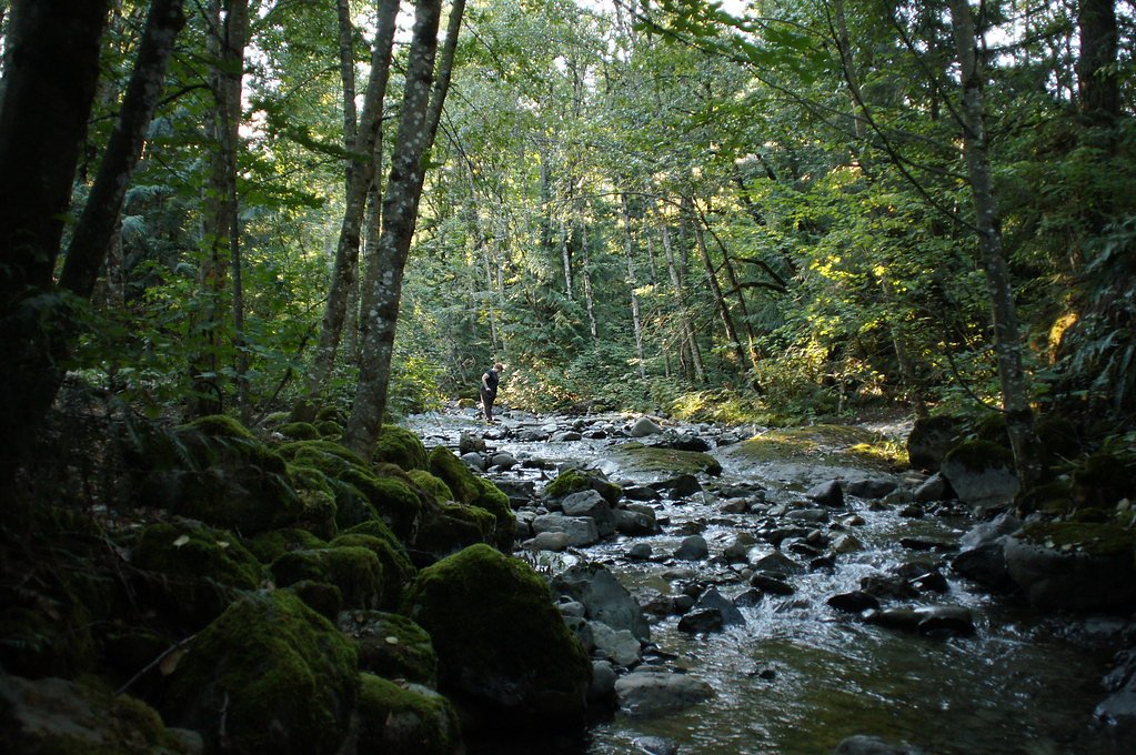 Walian Creek Falls waterfall