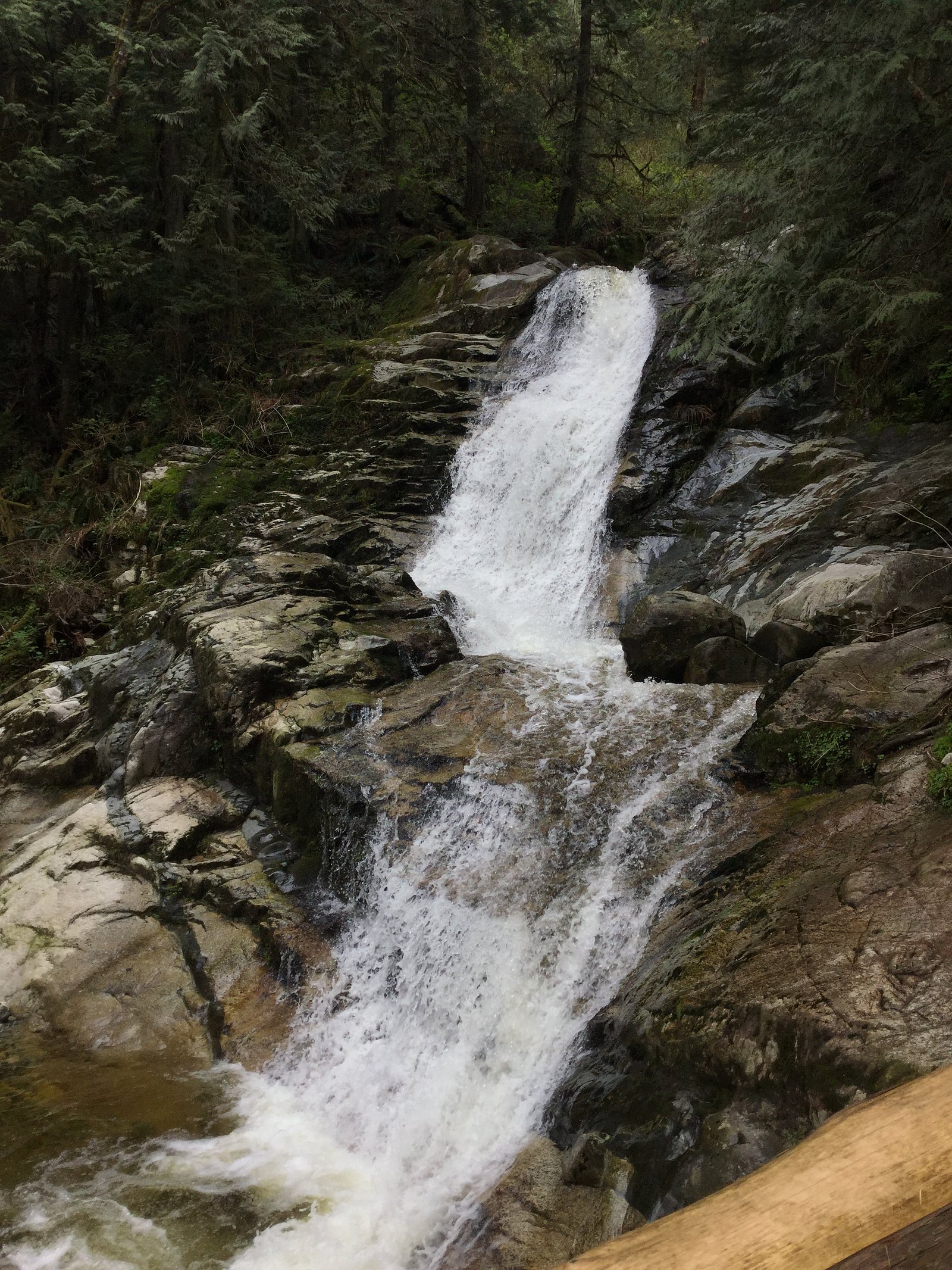 Crystal Falls, Pinecone Burke Park