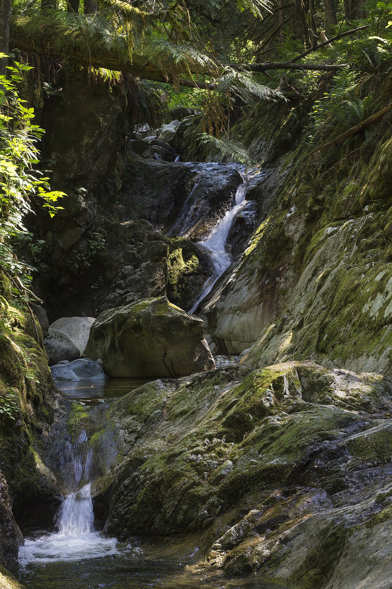 Crystal Falls, Pinecone Burke Park