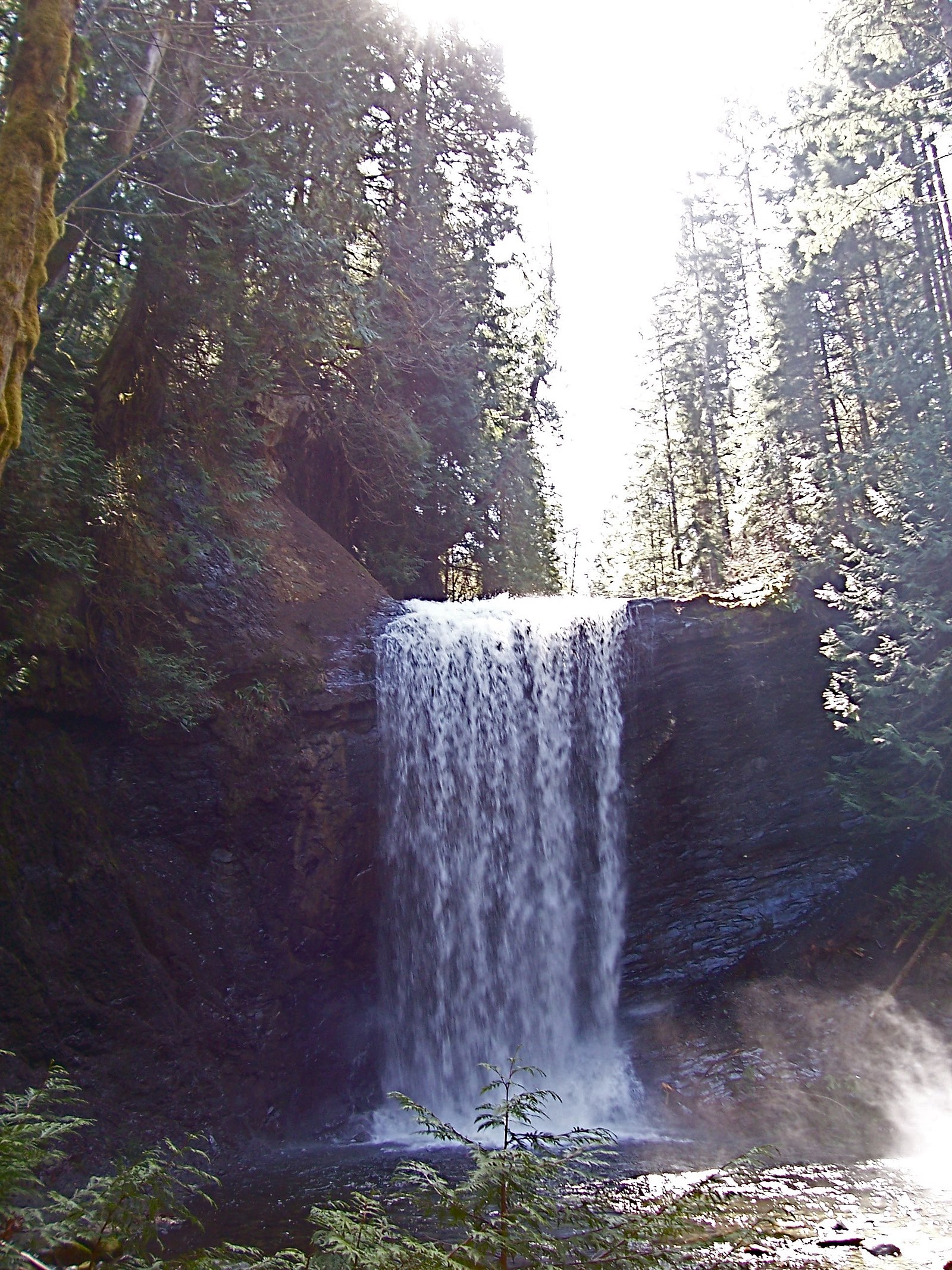 Ammonite Falls waterfall