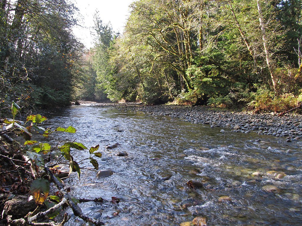 Rosewall Creek Falls waterfall