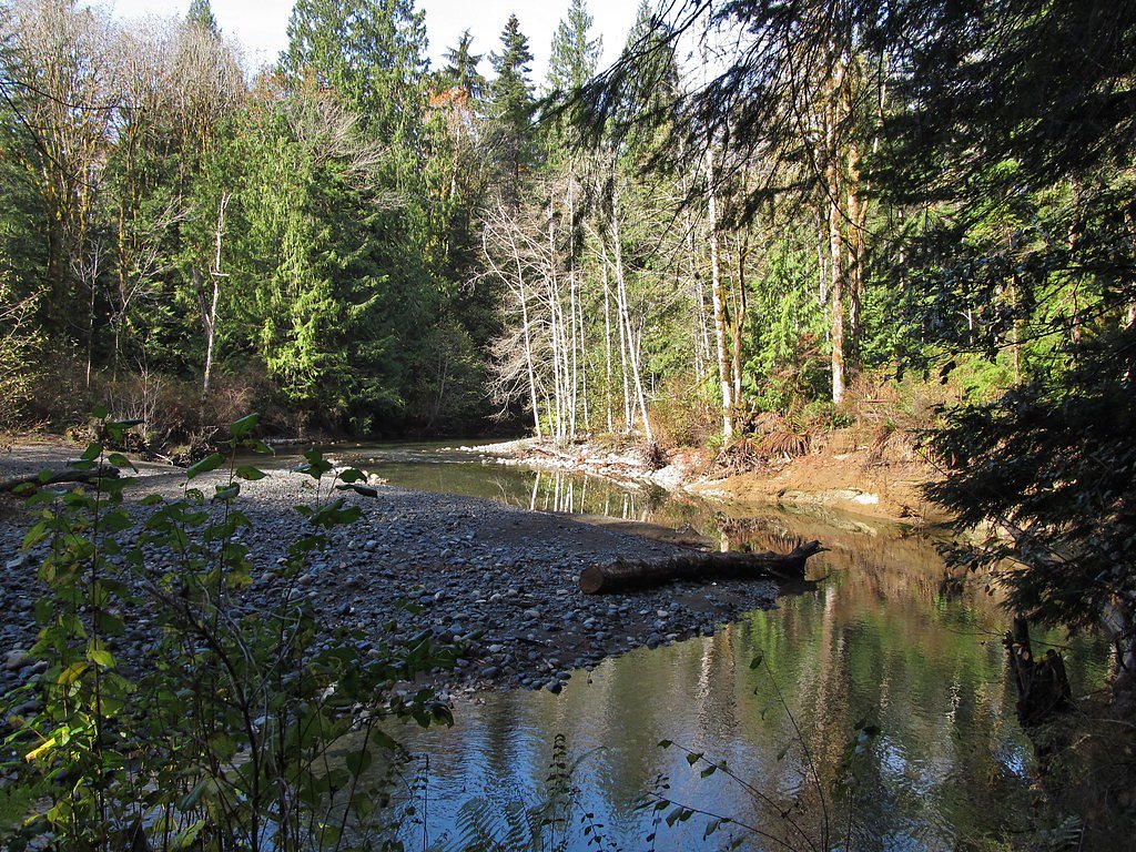 Rosewall Creek Falls waterfall