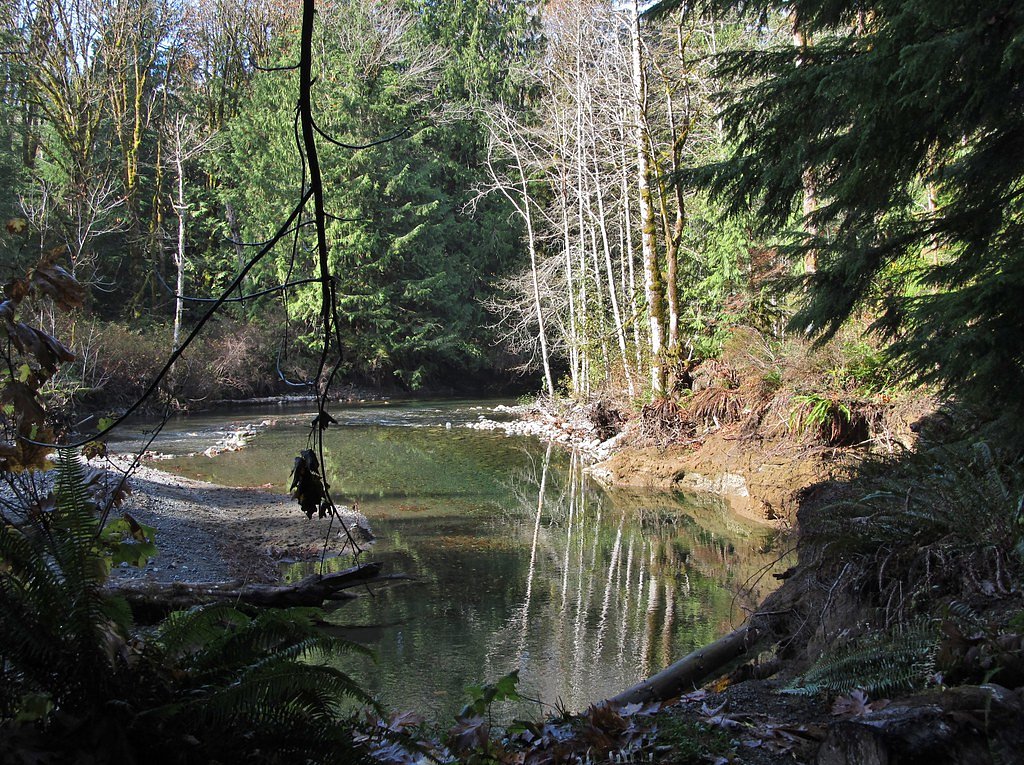Rosewall Creek Falls waterfall