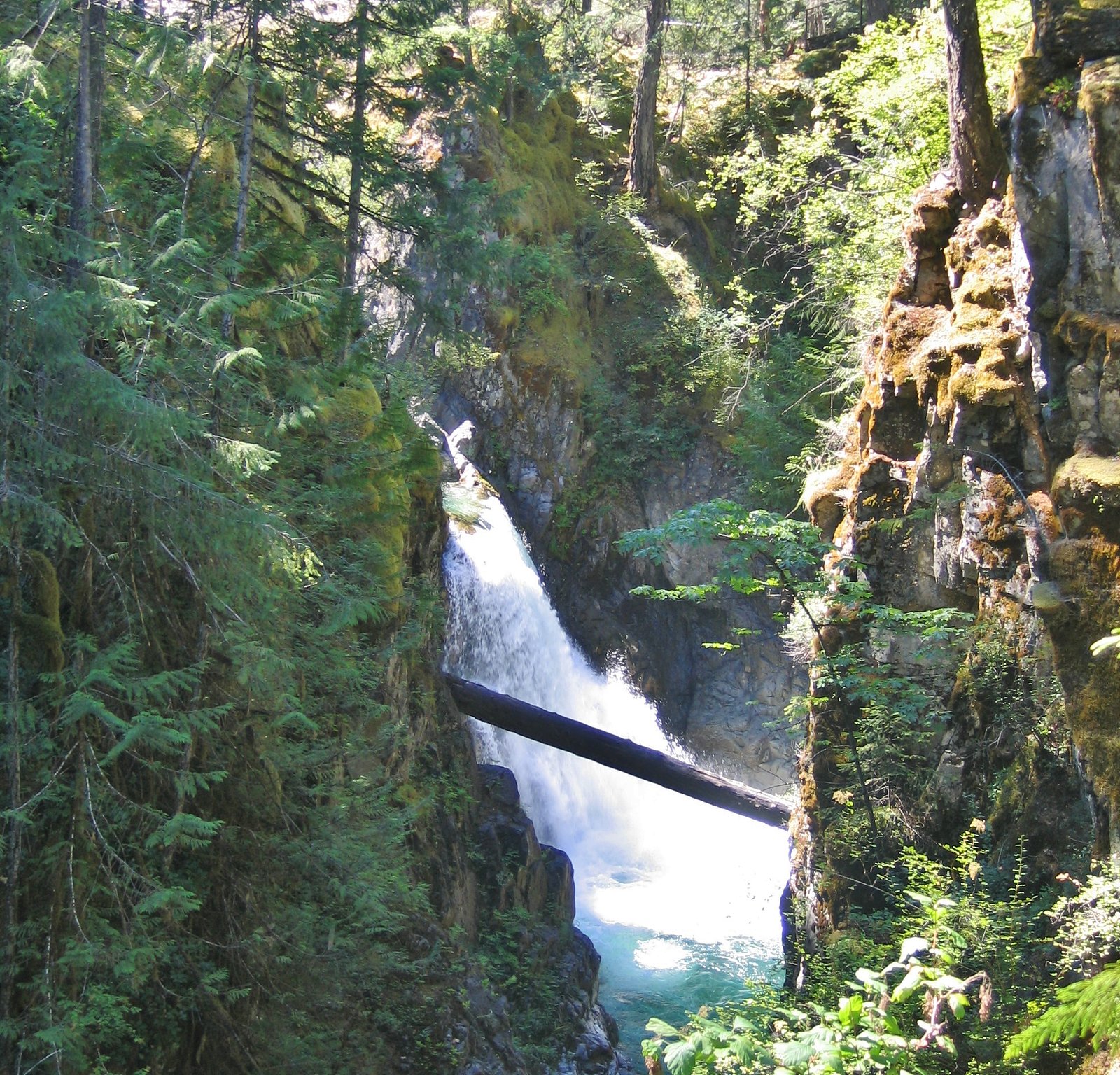 Little Qualicum Falls waterfall