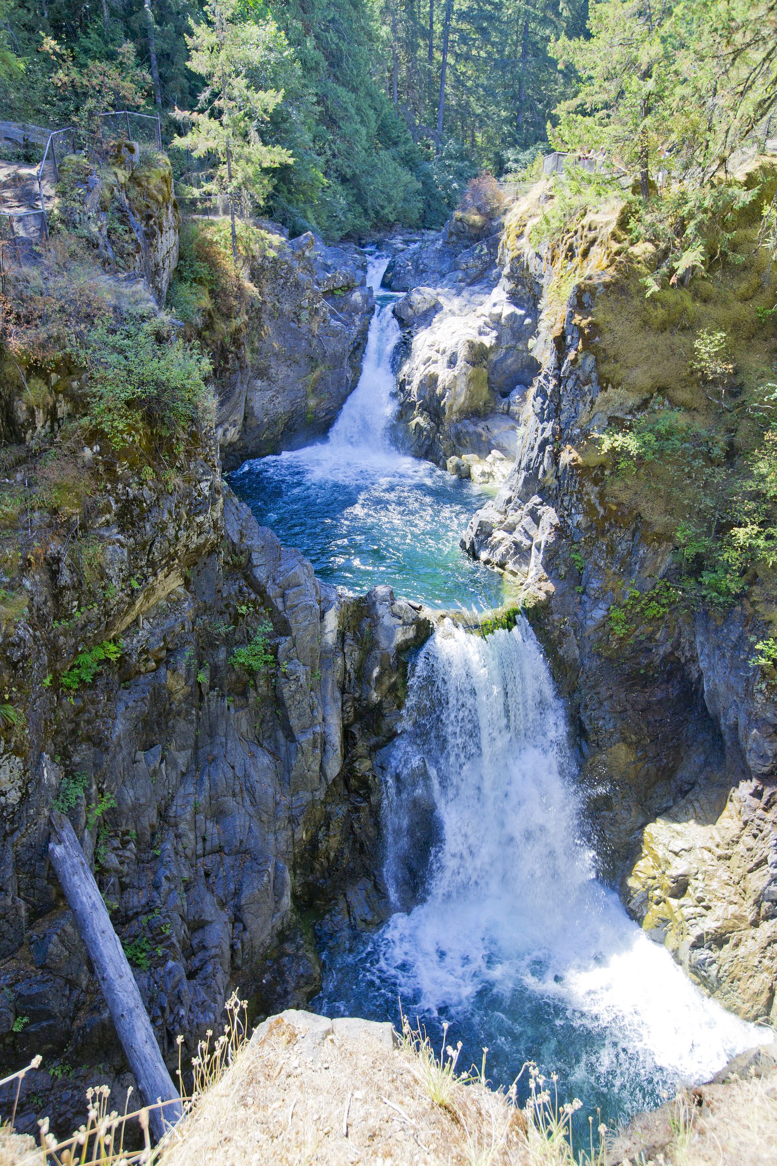 Little Qualicum Falls, Little Qualicum Falls Park