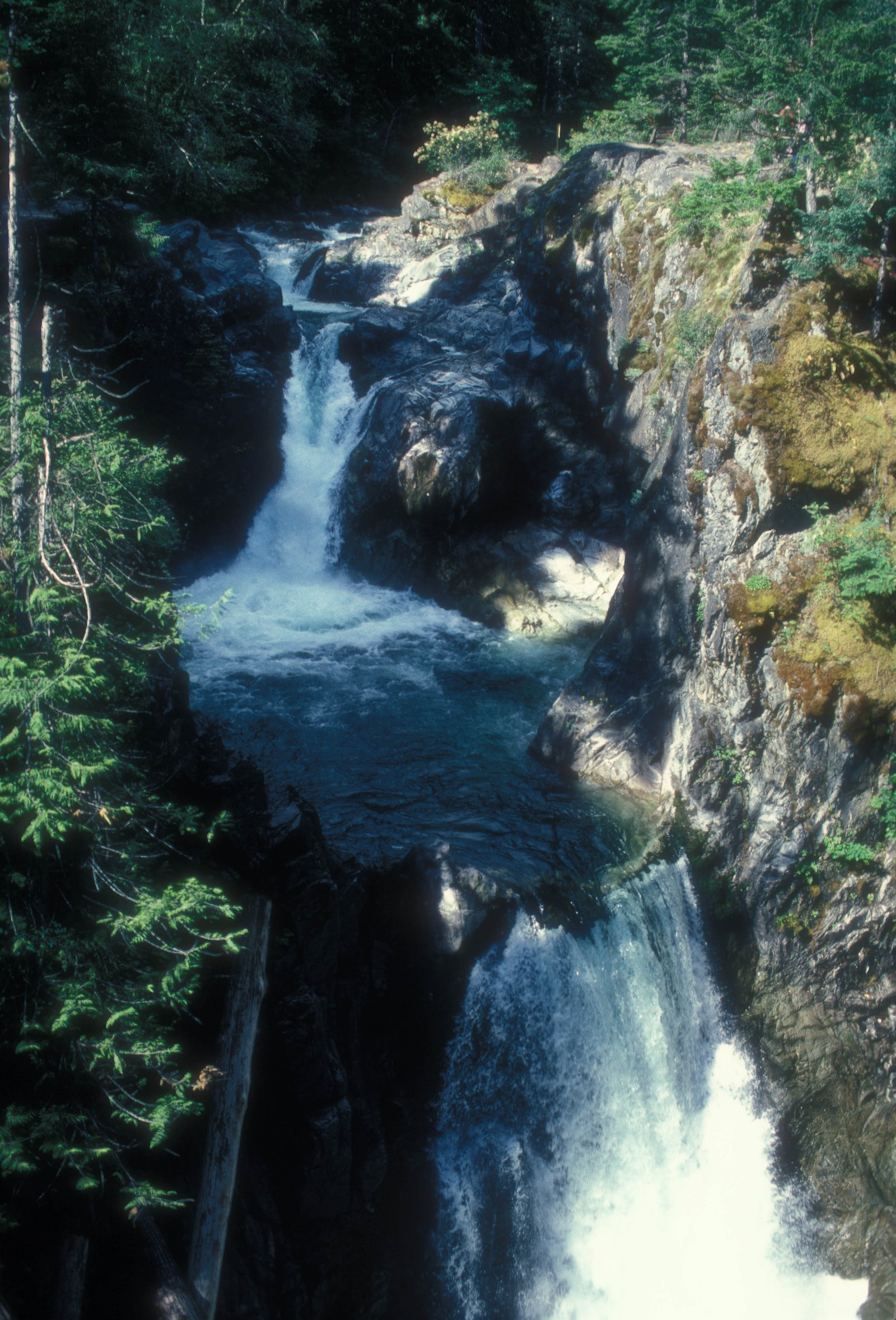 Little Qualicum Falls, Little Qualicum Falls Park