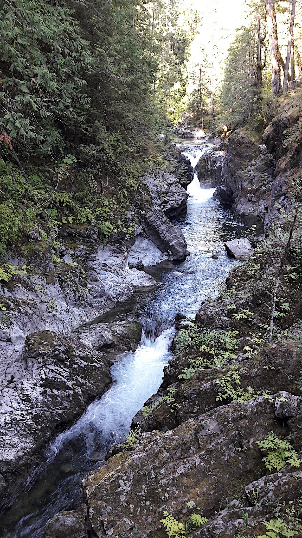 Lower Waterfall waterfall