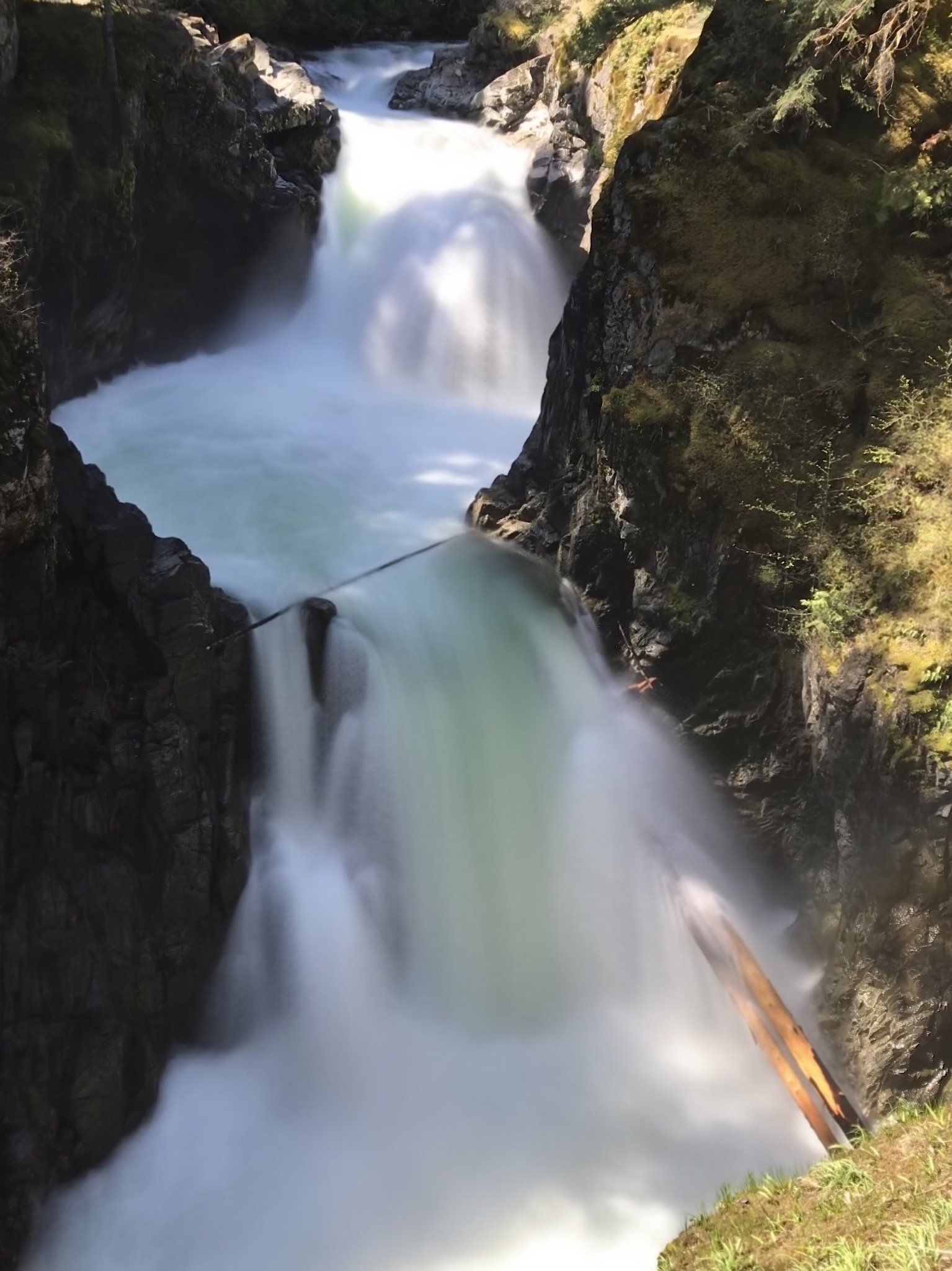 Lower Waterfall, Little Qualicum Falls Park