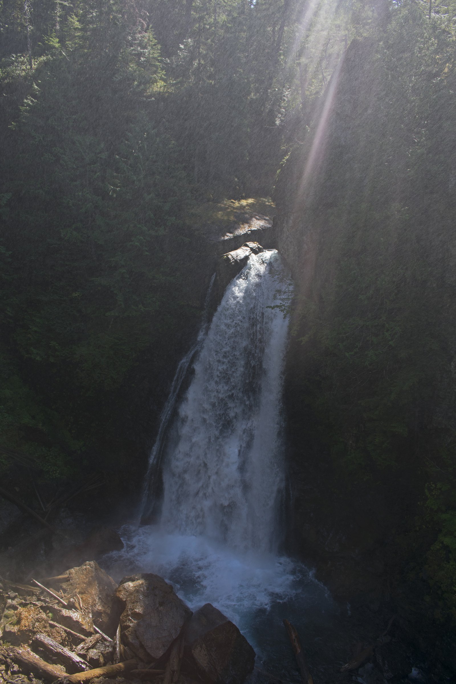 Lady Falls, Strathcona Park
