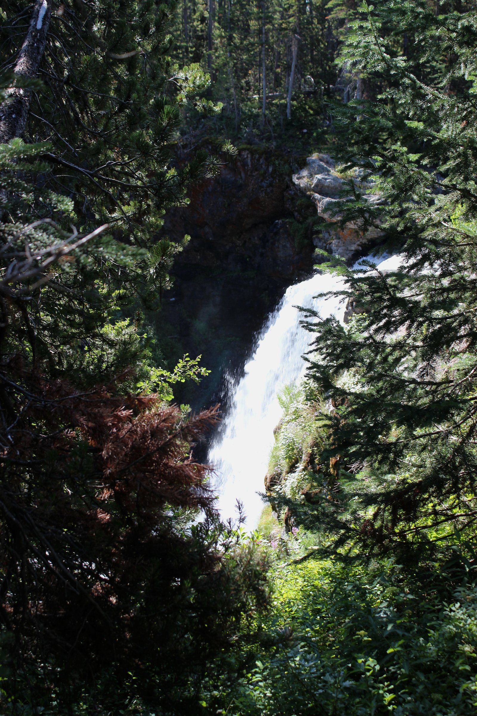 Moose Falls waterfall