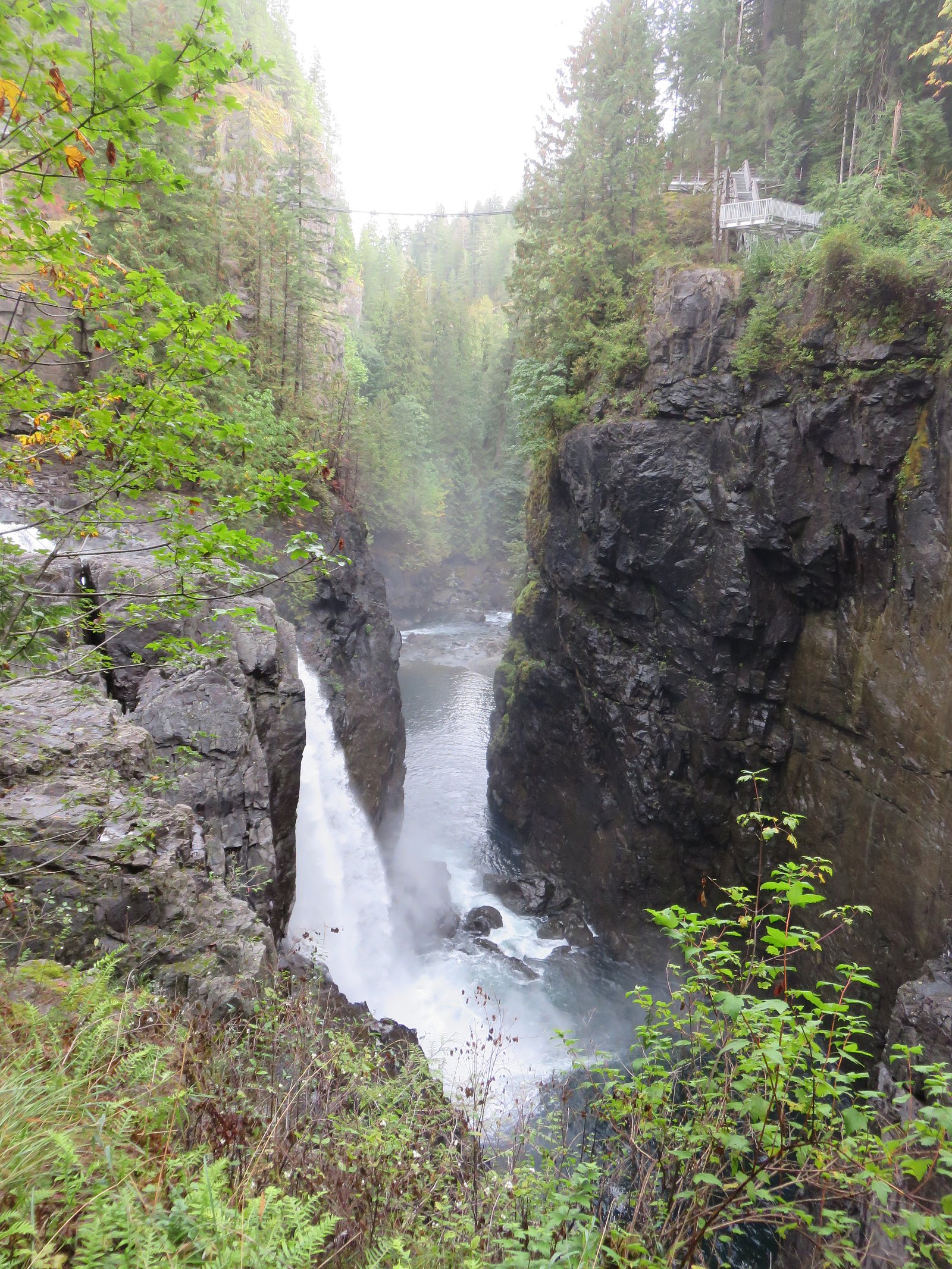 Elk Falls, Elk Falls Park