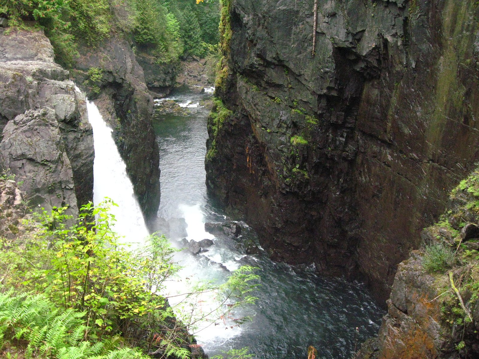 Elk Falls, Elk Falls Park